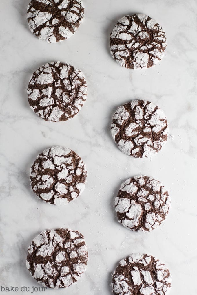 Chocolate Crinkle Cookies arranged in 2 rows