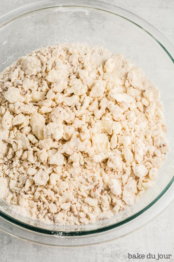 A bowl filled with the dough for the coconut shortbread crust, after the butter has been cut into the rest of the dry ingredients